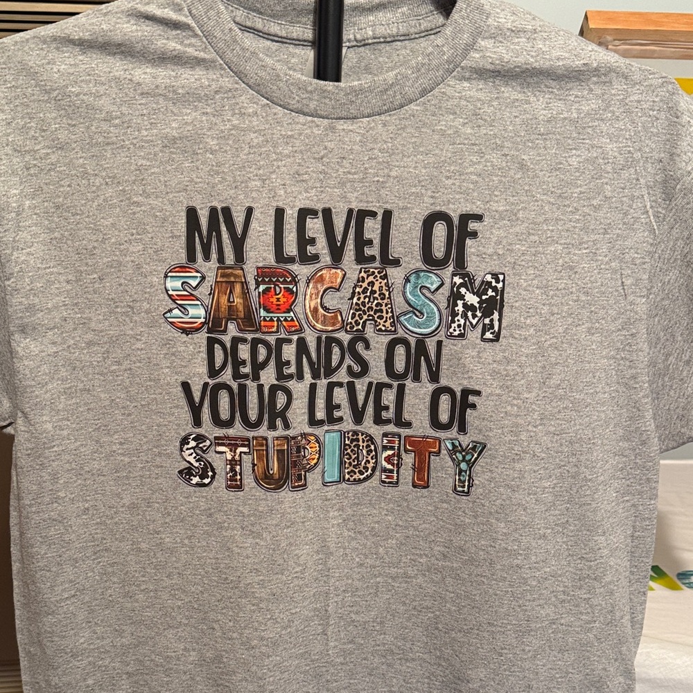 Gildan Gray Graphic Tee "My Level Of Sarcasm Depends On Your Level Of Stupidity"